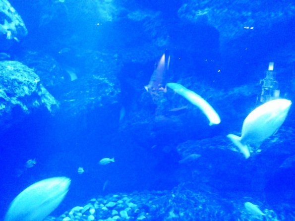201306271211