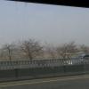 Exif_JPEG_PICTURE