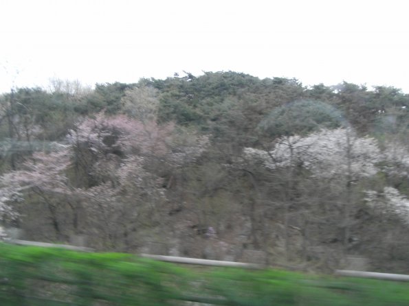 Exif_JPEG_PICTURE