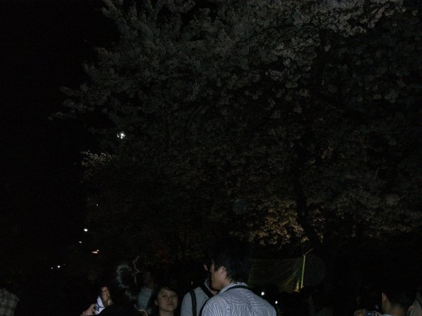 Exif_JPEG_PICTURE