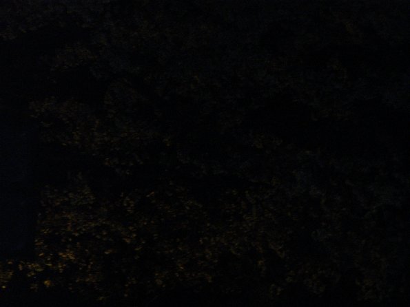 Exif_JPEG_PICTURE