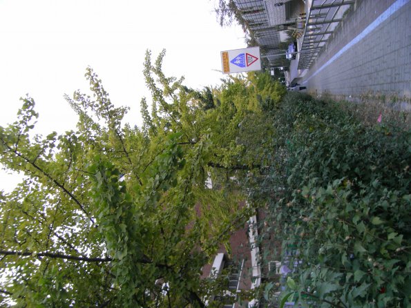 Exif_JPEG_PICTURE