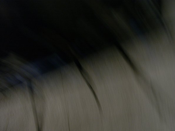 Exif_JPEG_PICTURE