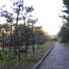 Exif_JPEG_PICTURE