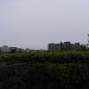 Exif_JPEG_PICTURE