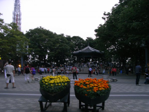 Exif_JPEG_PICTURE