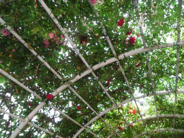Exif_JPEG_PICTURE