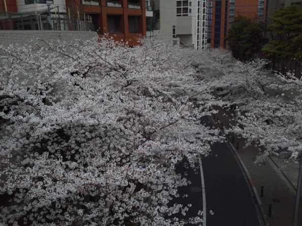201303231215