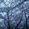201303261752