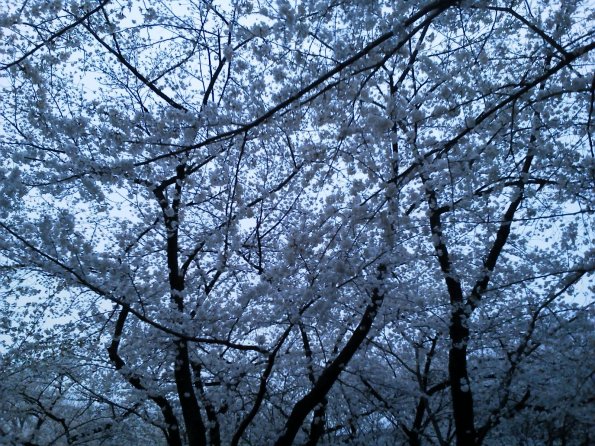 201303261752