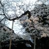 201303261755