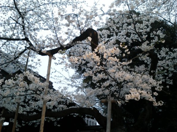 201303261755