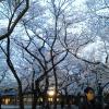 201303261800