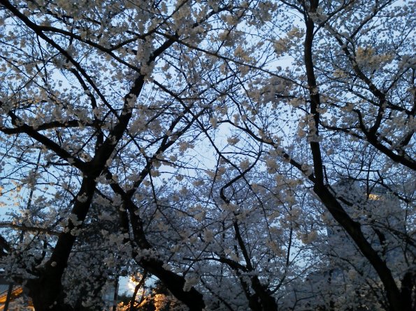 201303261800