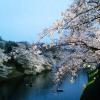 201303261810
