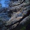 201303261818