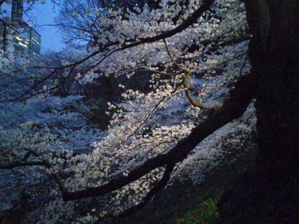 201303261818