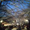 201303261823