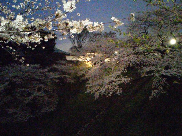 201303261828