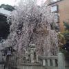 201303270951