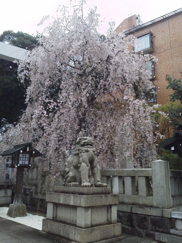 201303270951