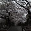 201303271725