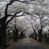 201303271726