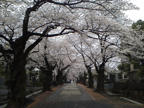 201303271726