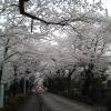 201303271727