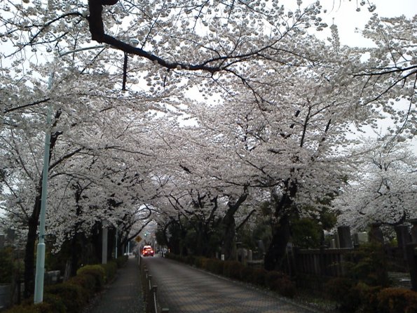 201303271727