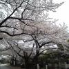 201303271728