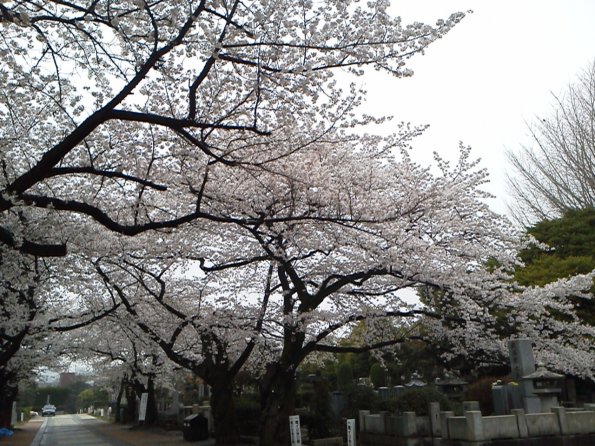 201303271728