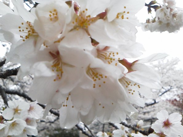 201303271729