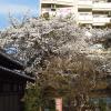 201303281614