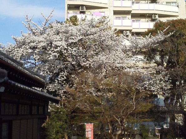 201303281614