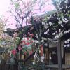 201303281615