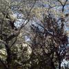 201303281617