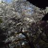 201303281617